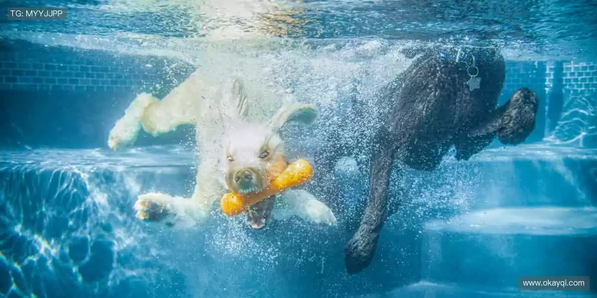 ⚽️燃爆全场，热血赛事等你挑战！